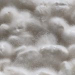 白米で作った麹