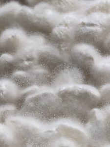 白米で作った麹