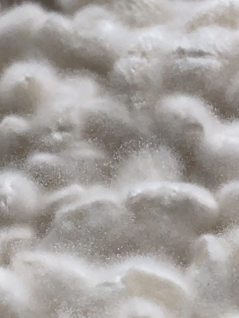 白米で作った麹