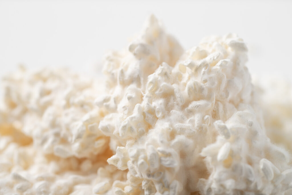 米から作られた米麹