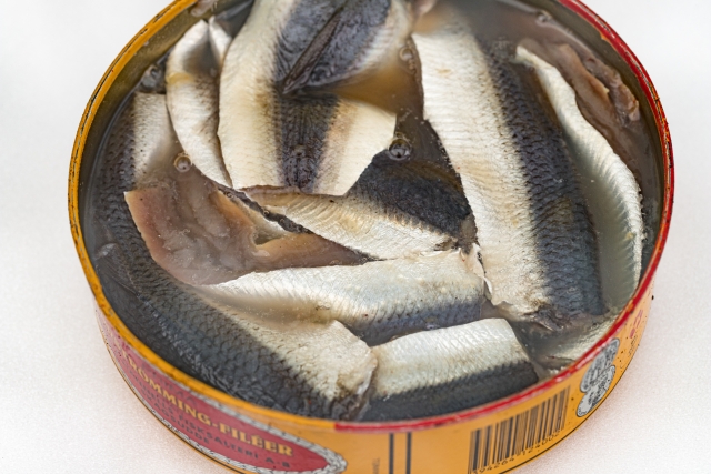 シュールストレミング